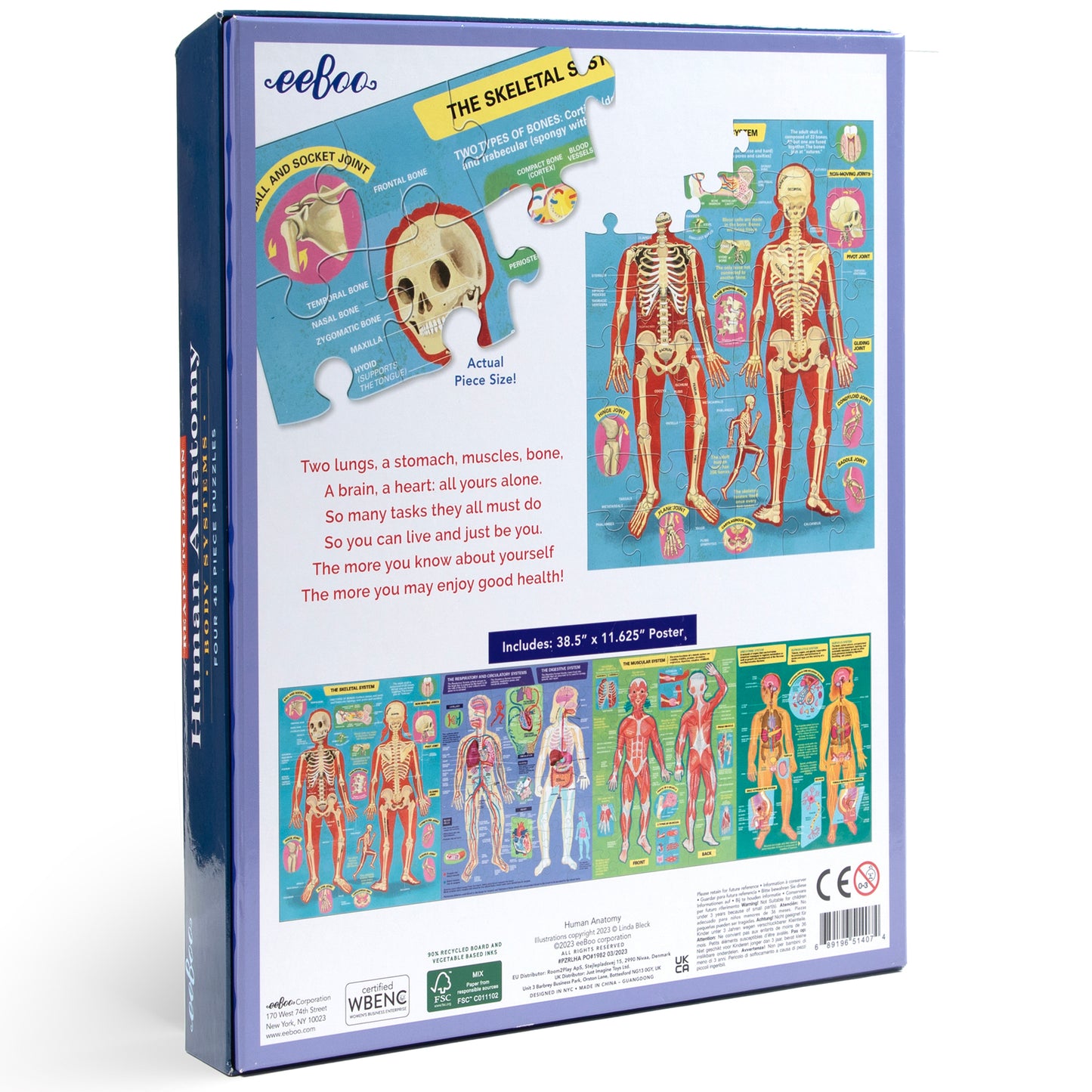 Anatomical Explorer 4-Pack Human Anatomy Jigsaw Puzzles box showing skull puzzle, skeletal system poster, and full-body anatomy charts with educational illustra