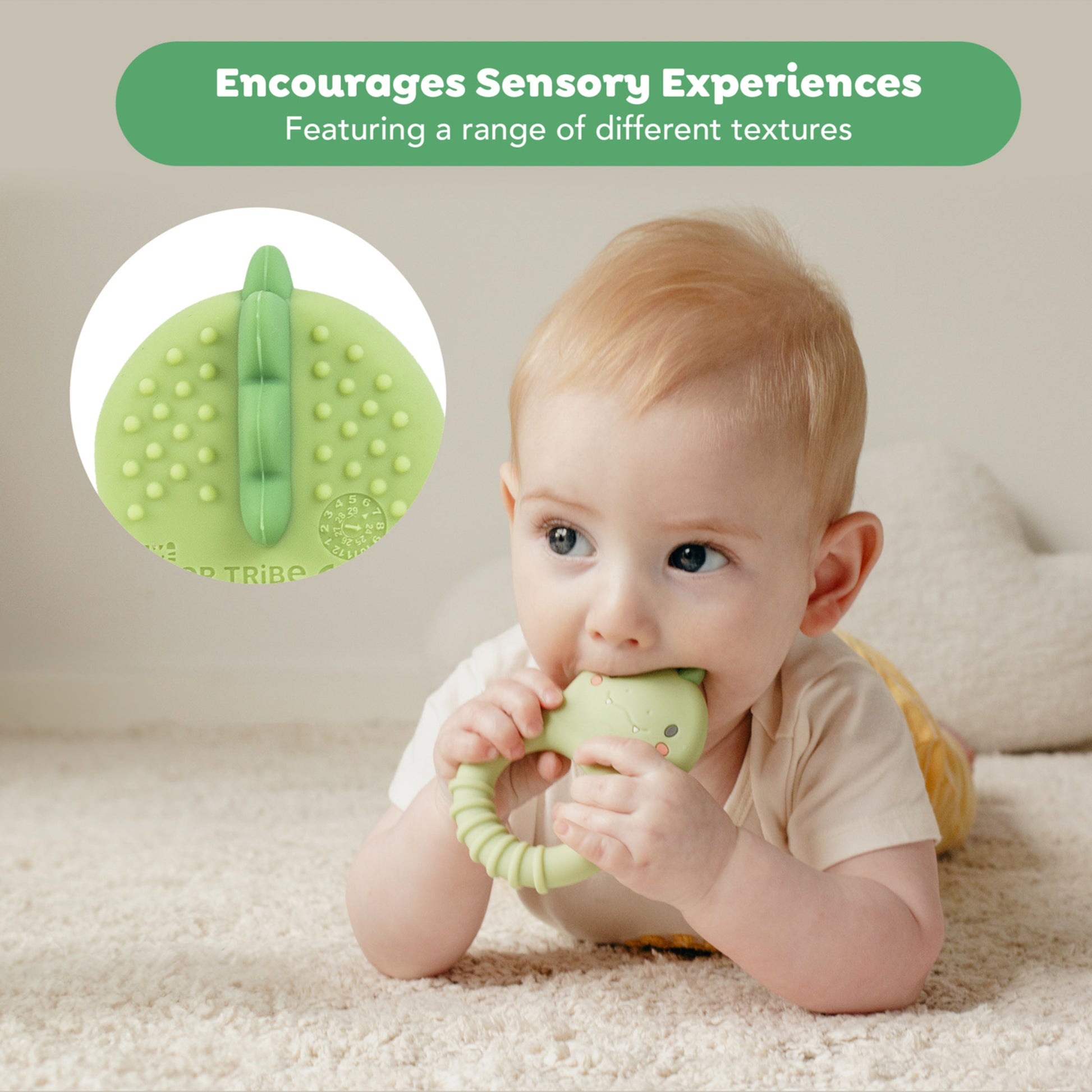 Tiger Tribe green dinosaur silicone teether with textured bumps, baby chewing toy