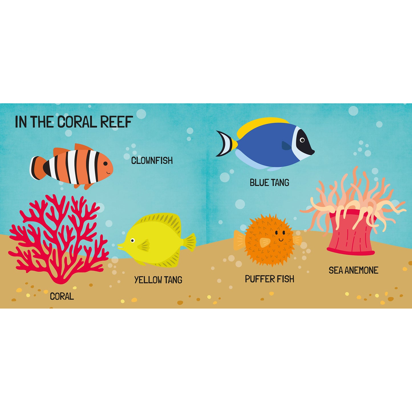 Q-Box Marine Adventure Puzzle Set - 40 pc