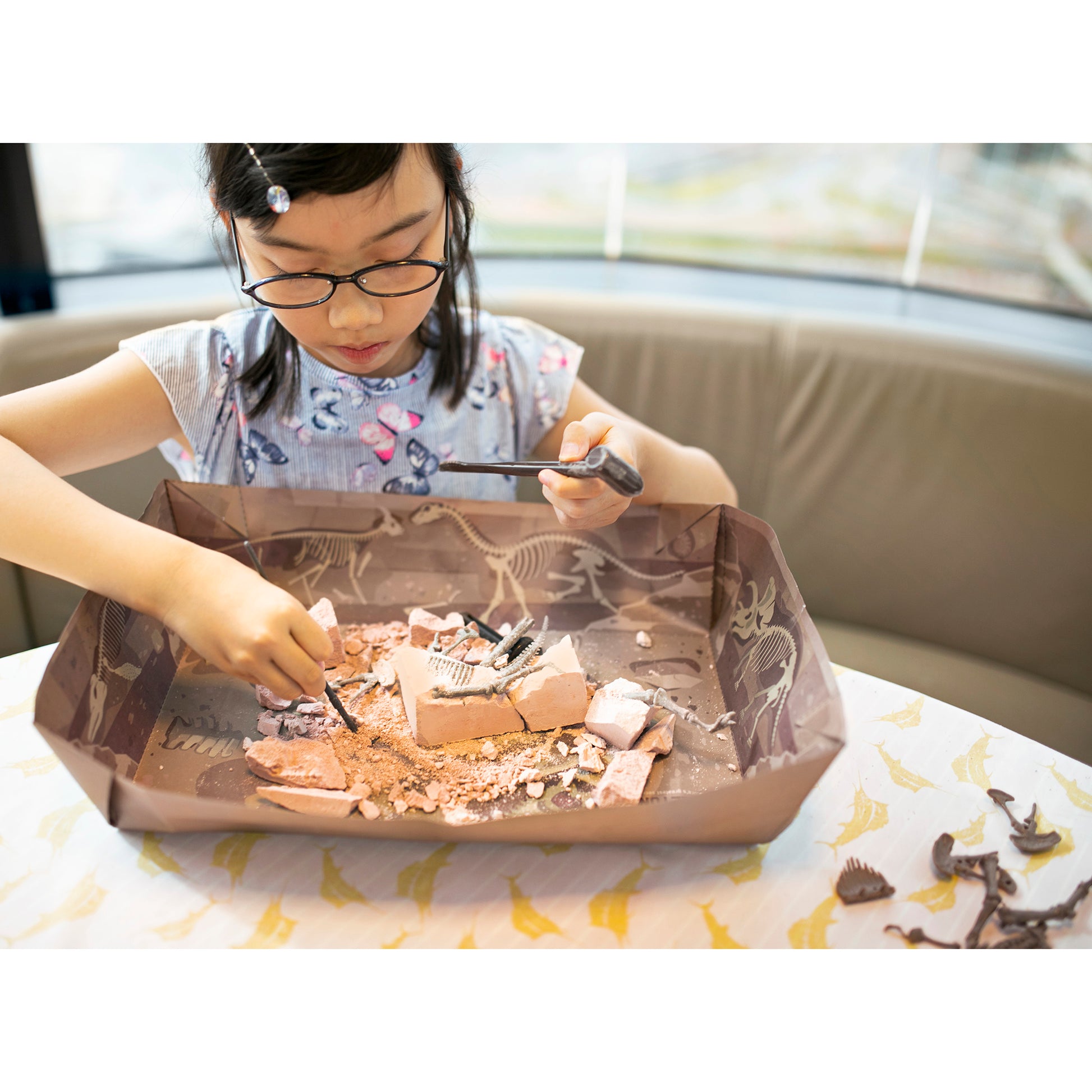 Girl excavating Tyrannosaurus Rex skeleton from brown fossil dig kit by 4M KidzLabs