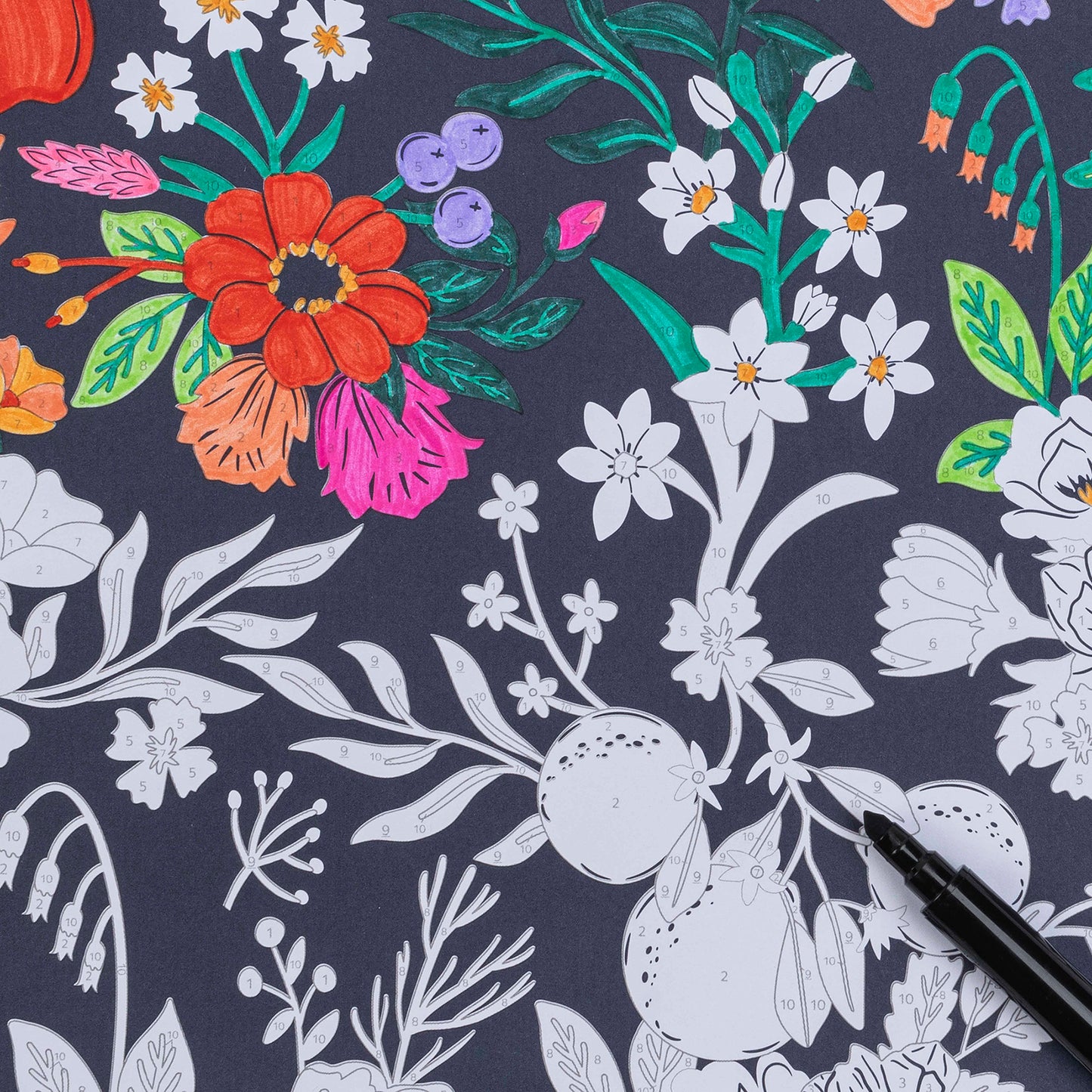 Marker Color By Number: Whimsical Botanicals coloring book with vibrant flowers and botanical designs