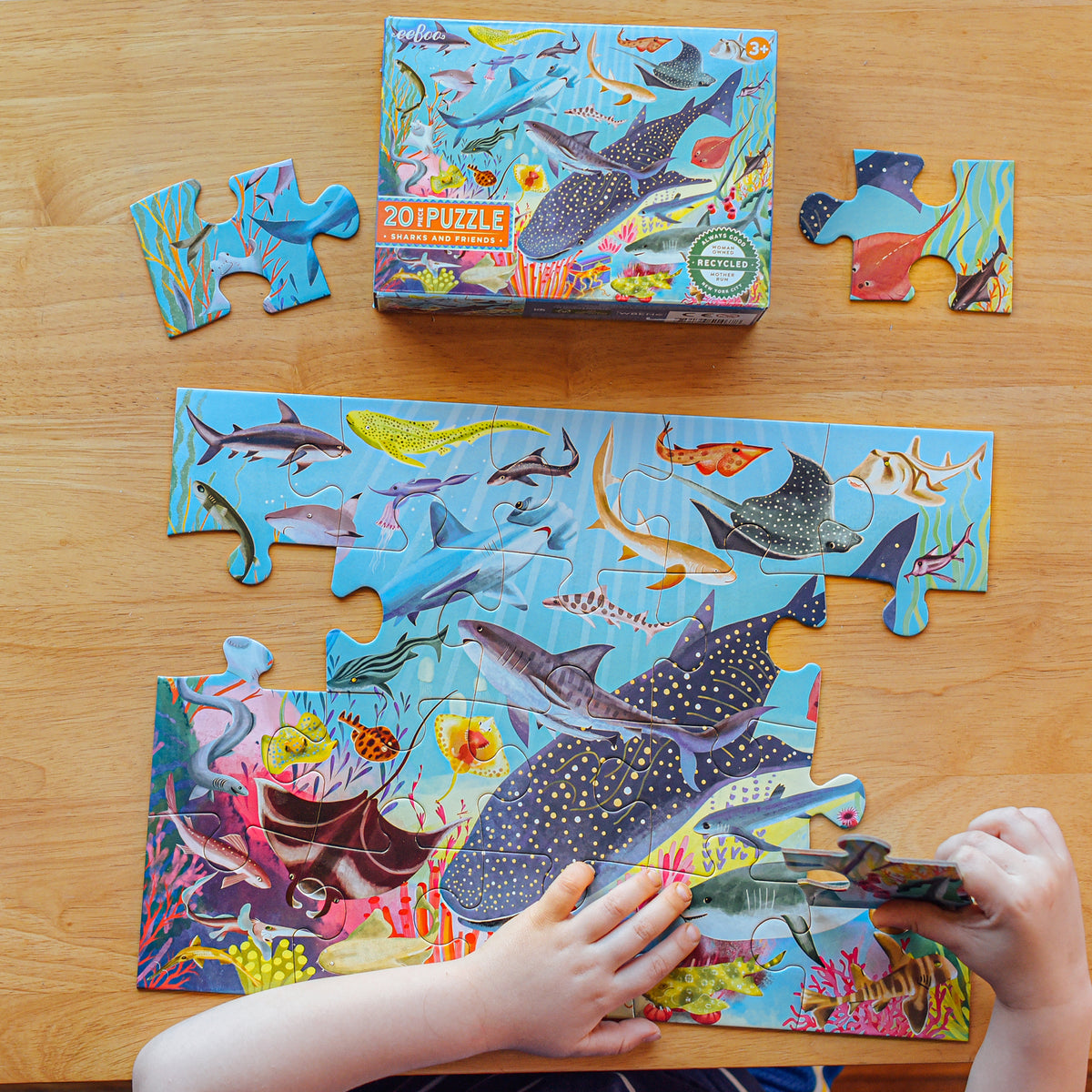eeBoo Sharks & Friends Kids Jigsaw Puzzle - 20 pc