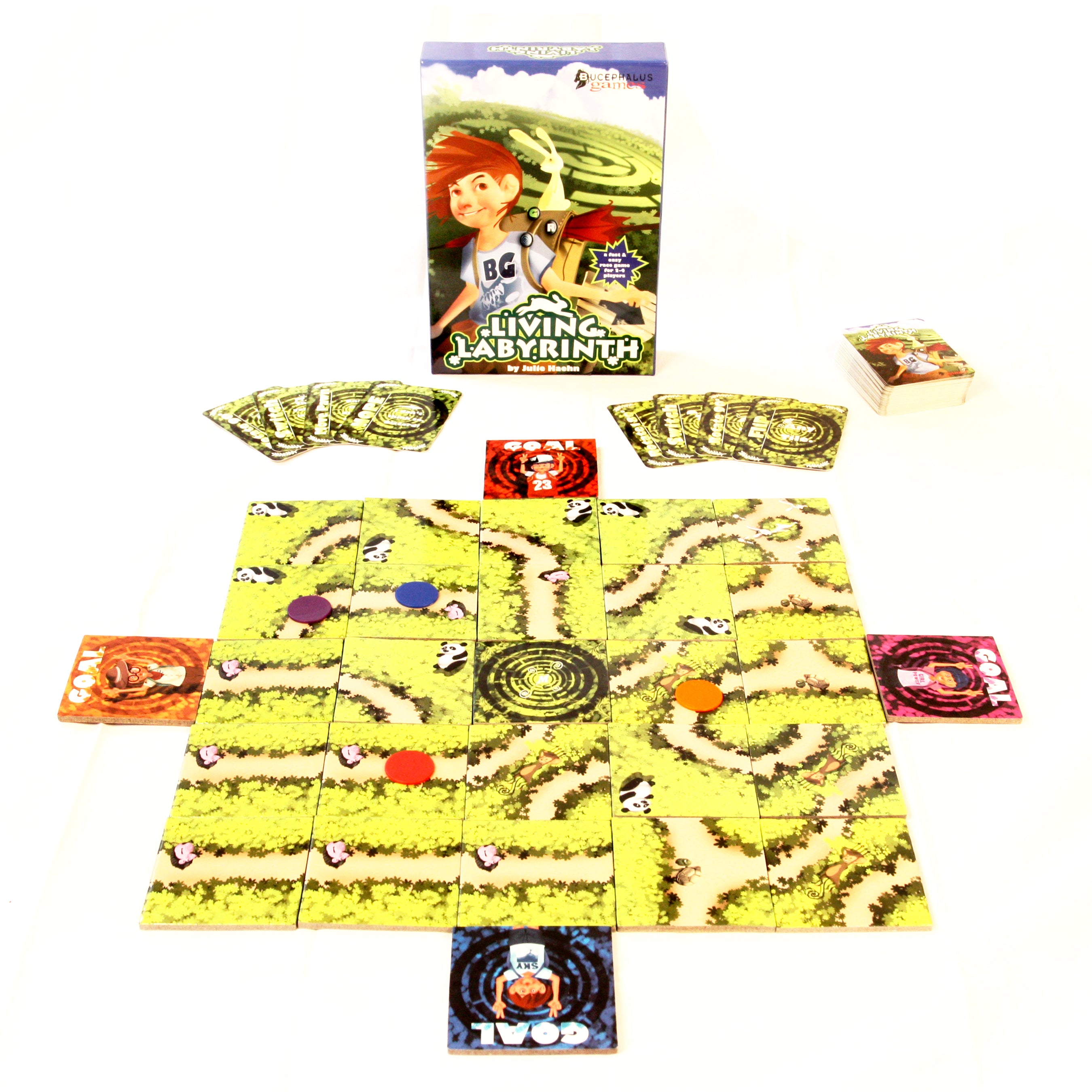 Living Labyrinth Garden Maze Race Game – Toys