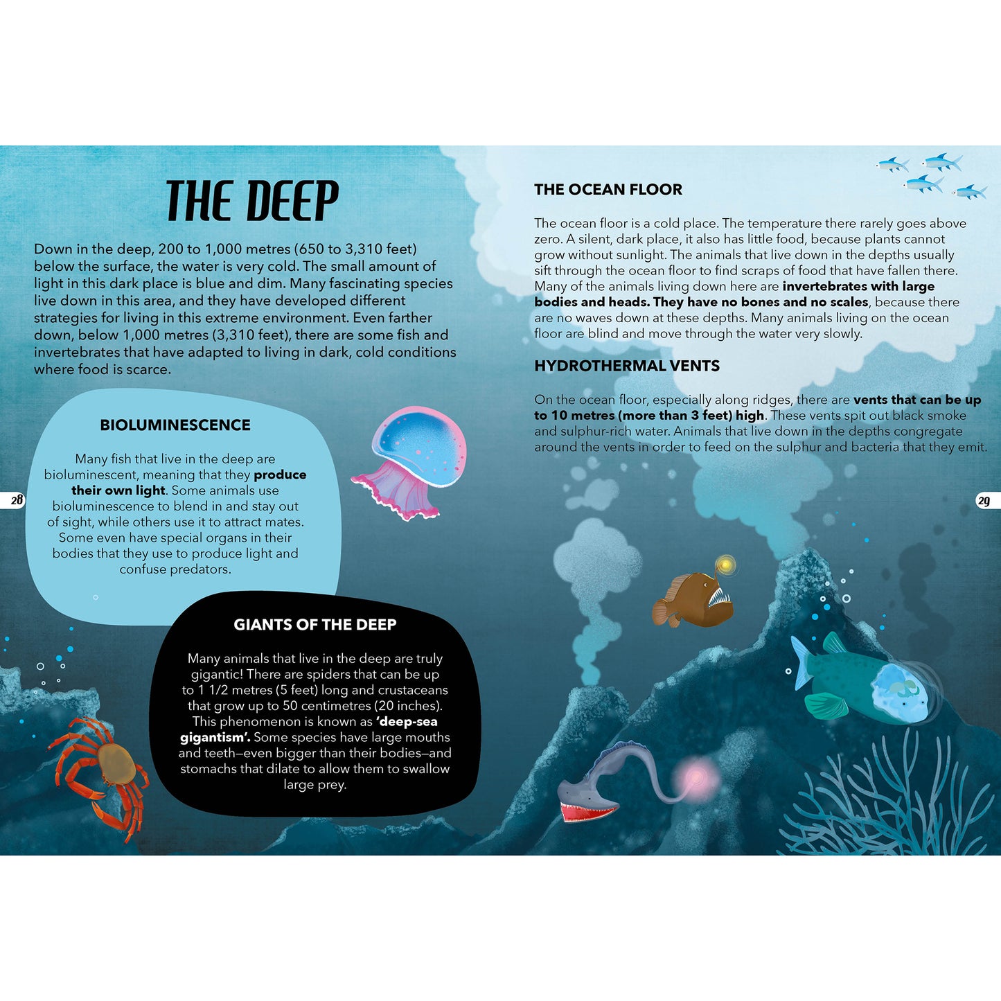 TLE: The Sea Interactive Storybook