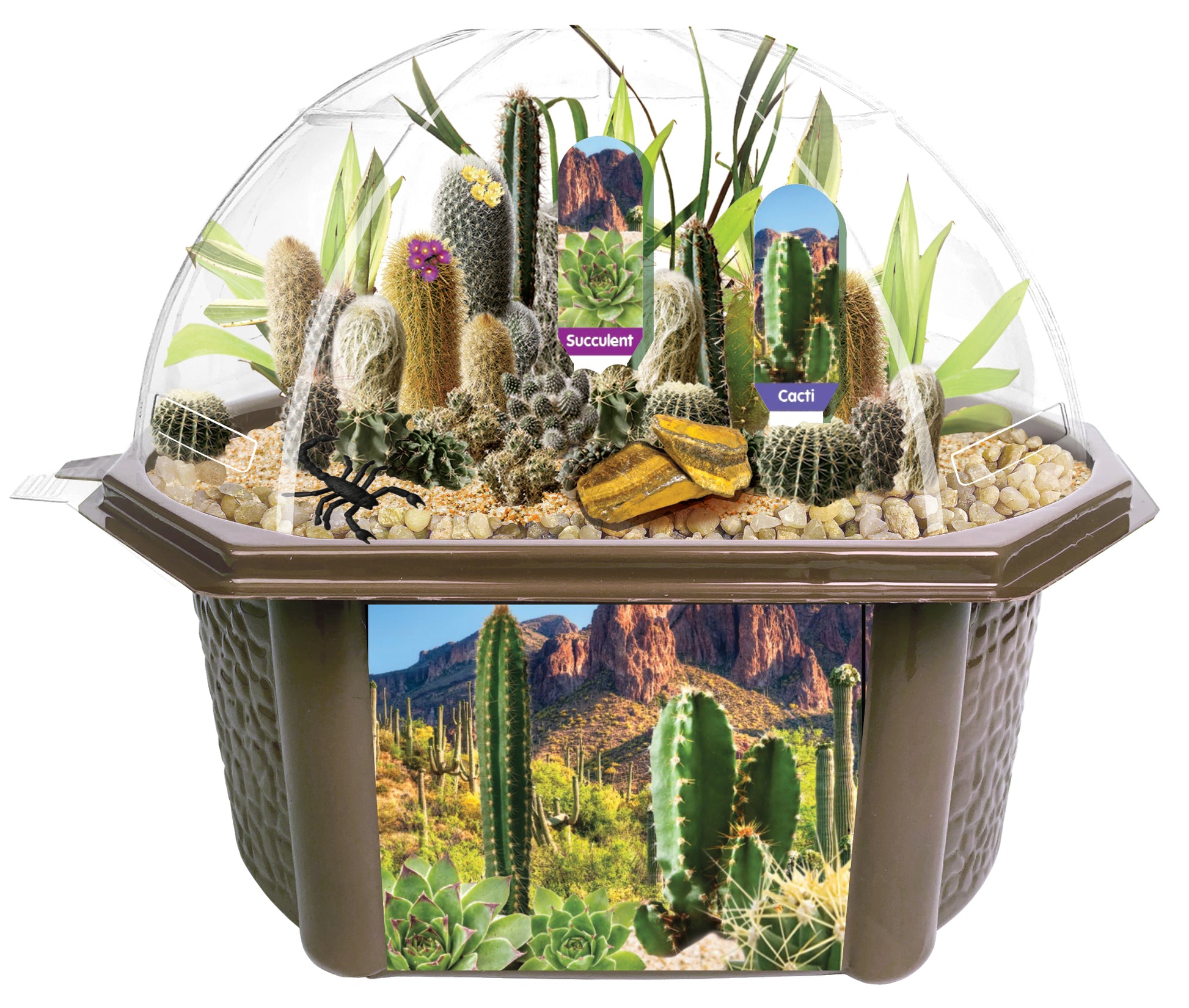 desert plant terrarium Toys By Nature Desert Biosphere Terrarium Kit