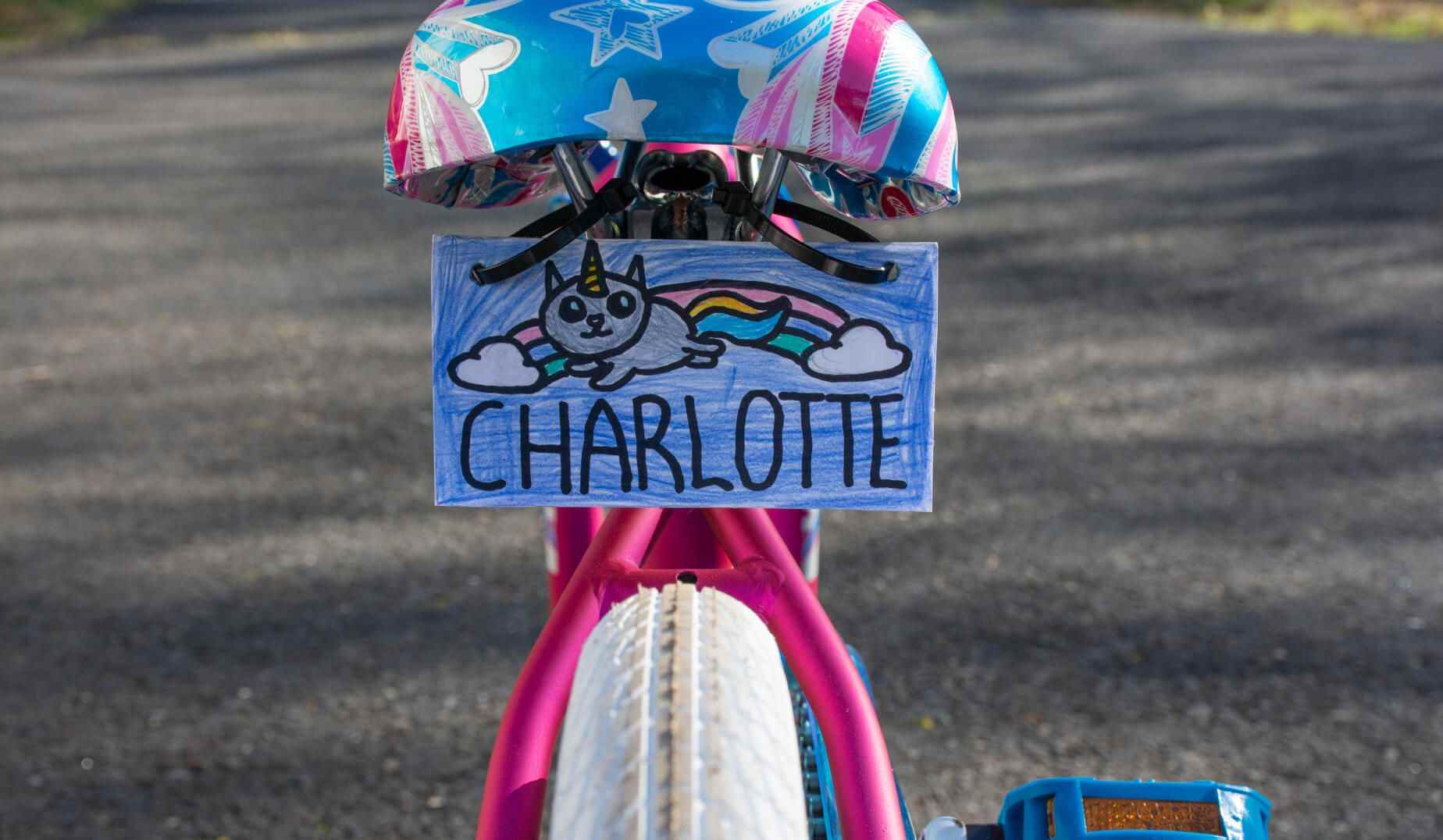 license plate attached to the back of a bicycle